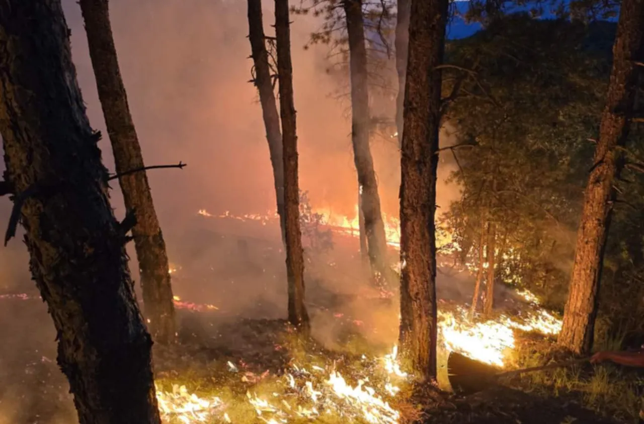 Продължава гасенето на пожара в Национален парк "Рилски манастир"
