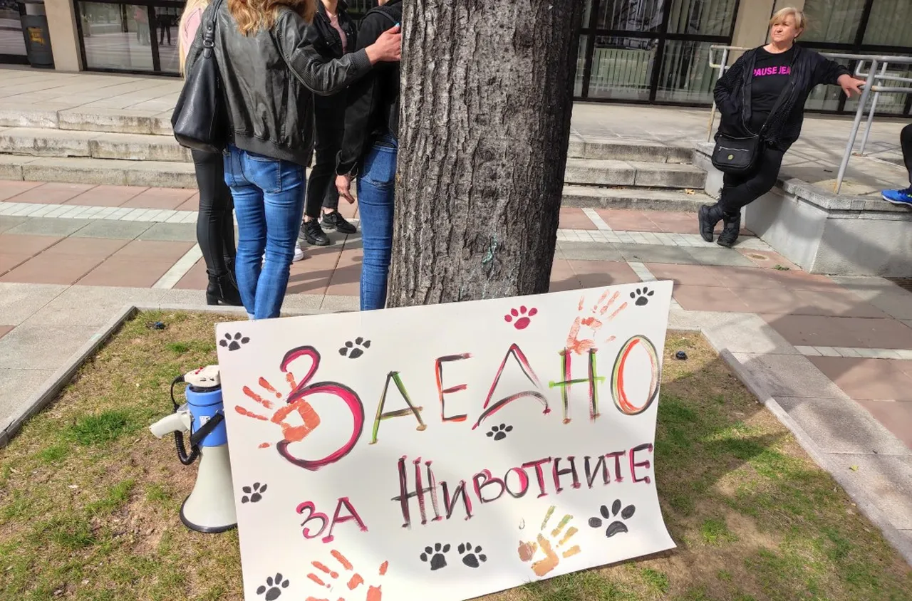 Протести срещу насилието над животни в София и Варна
