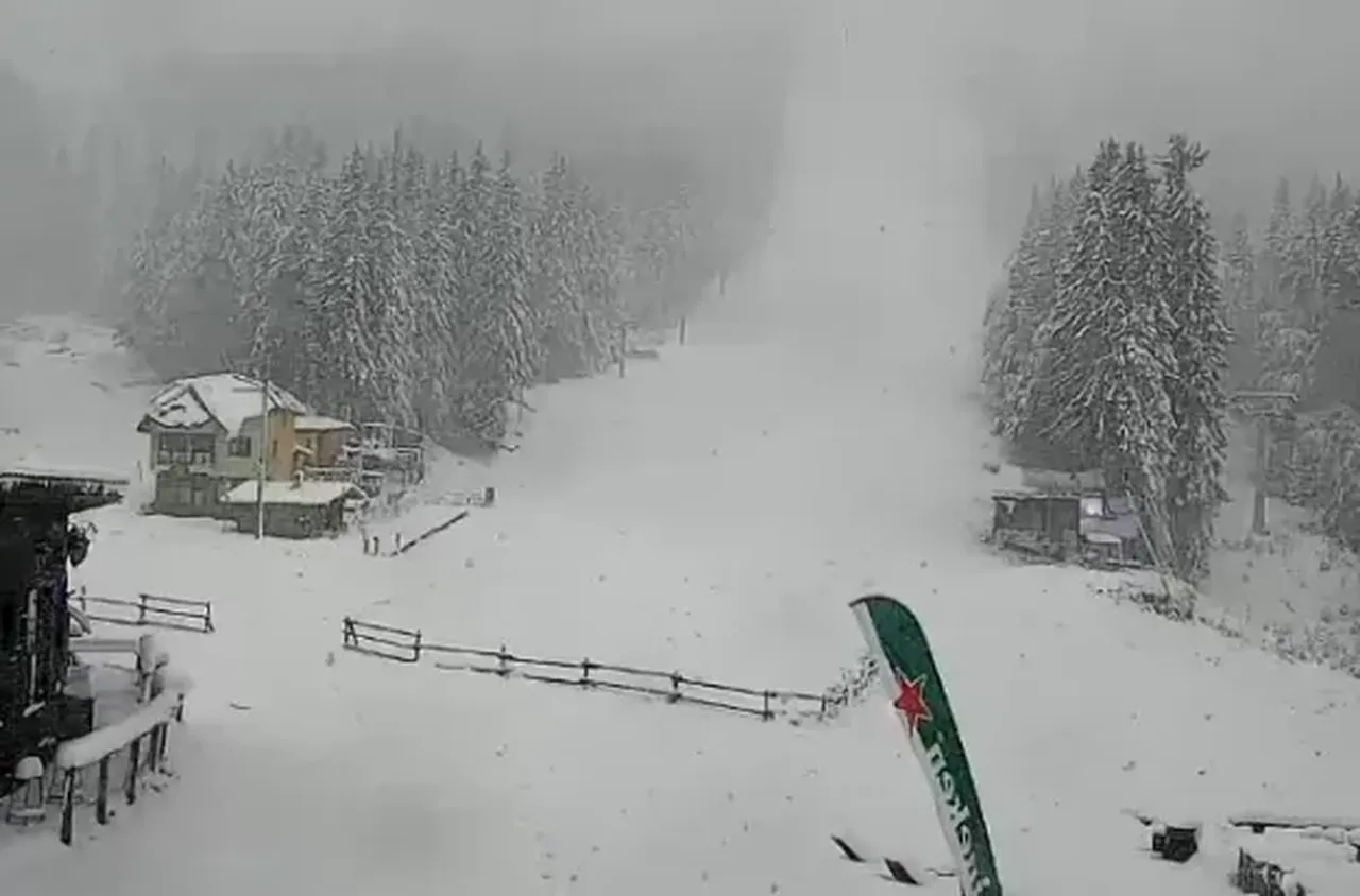 10 см сняг в Пампорово, валежите продължават