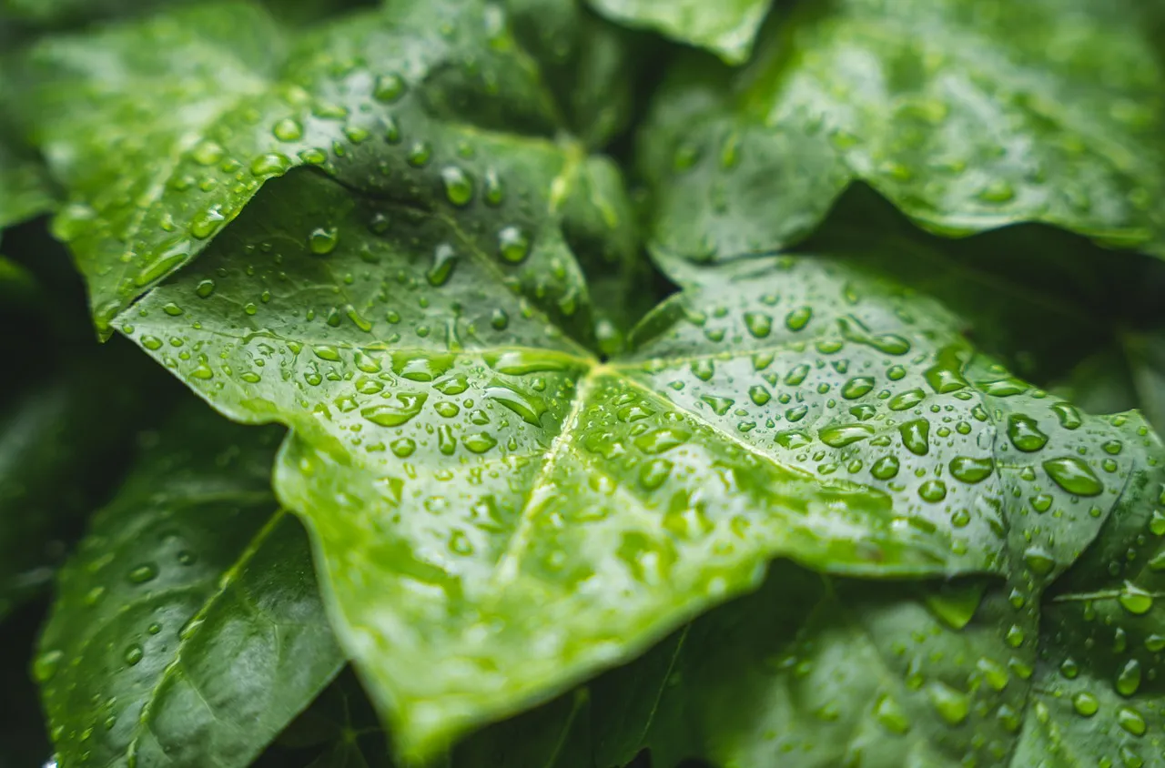 Времето на 19 ноември 2025 г.