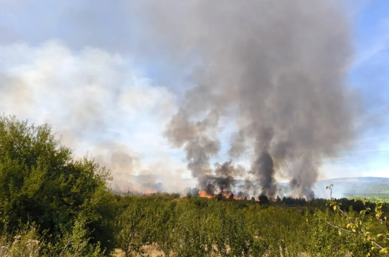 Шести ден борба с огъня в Рила, огънят е в труднодостъпен терен