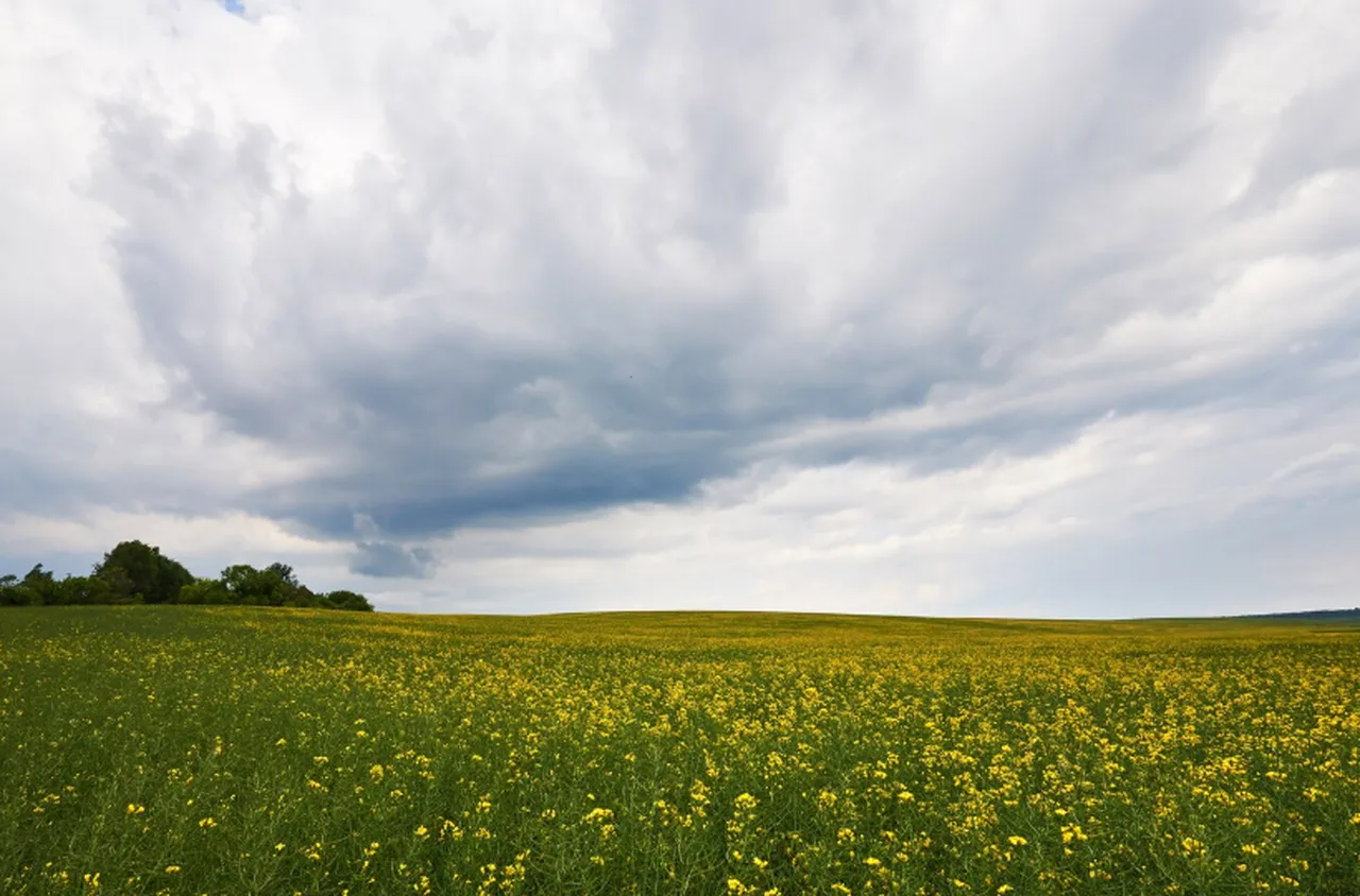Времето на 19 март 2026 г.