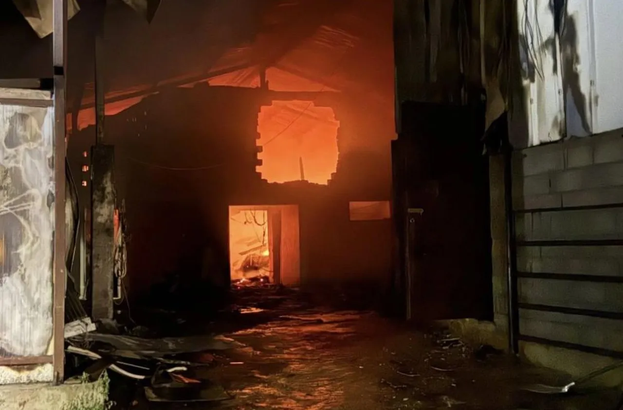 Над 100 животни изгоряха при пожар във ферма край Лясковец