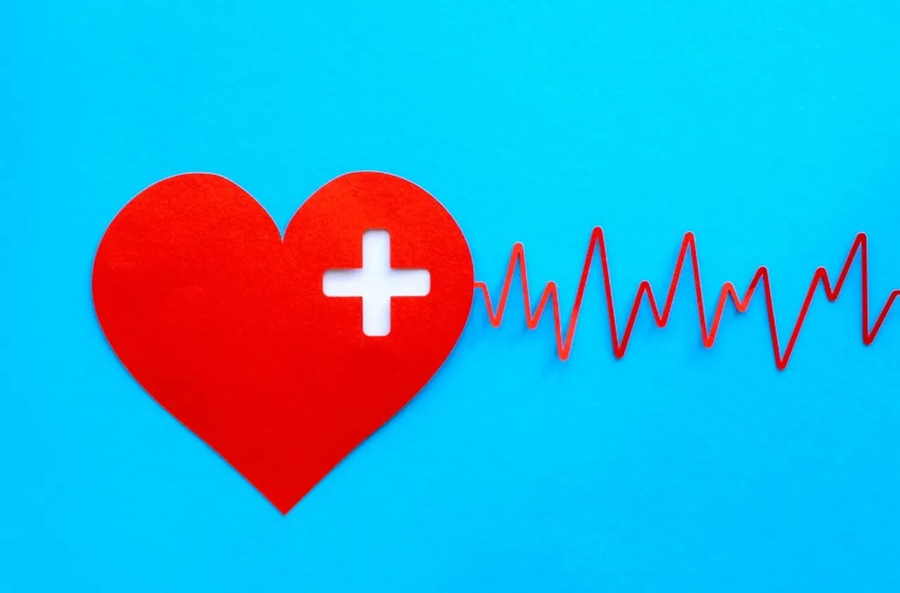 19 август - Световен хуманитарен ден