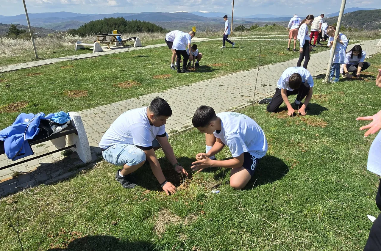 Ученици засадиха червен американски дъб в Дупница