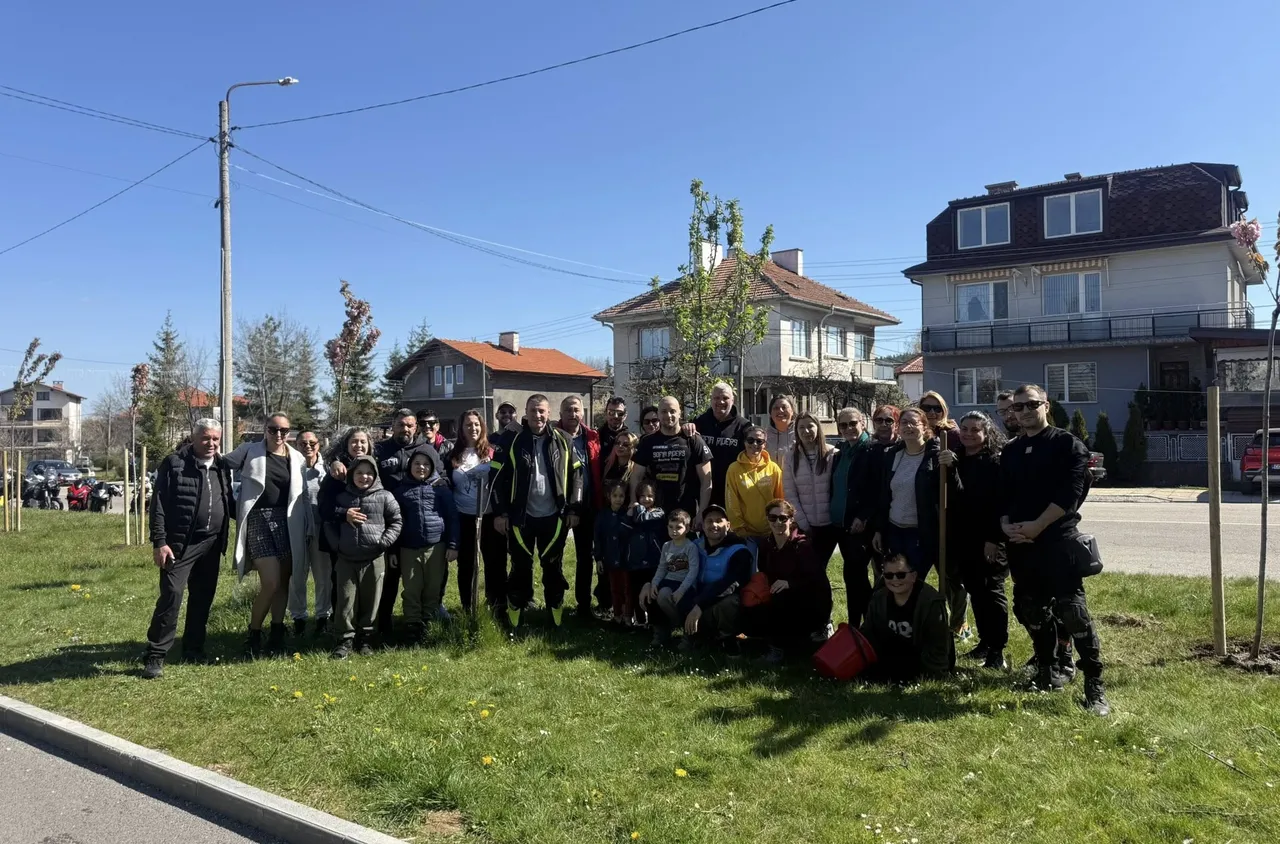 Повече от 60 нови дръвчета бяха засадени в Самоков