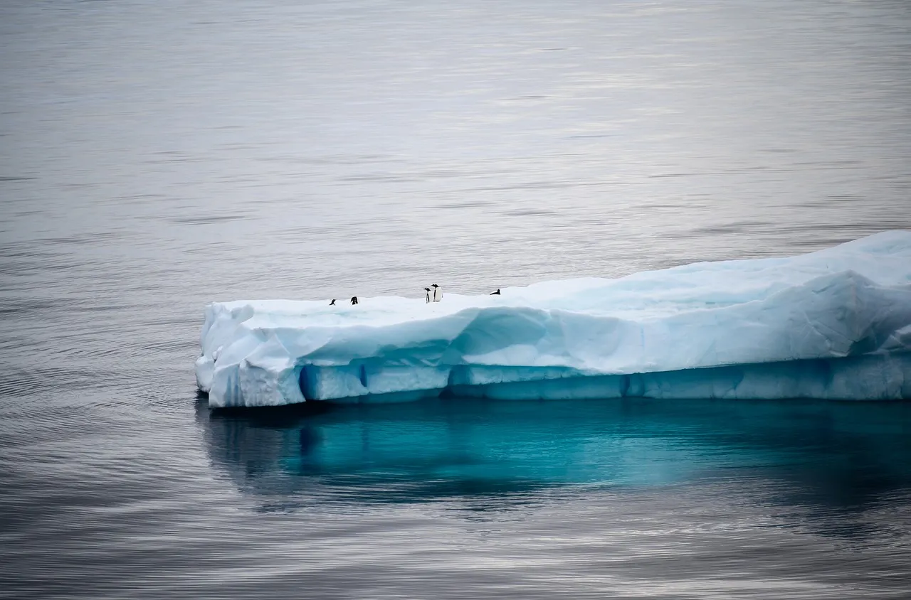  Как топенето на арктическия лед може да наруши климата на Земята?
