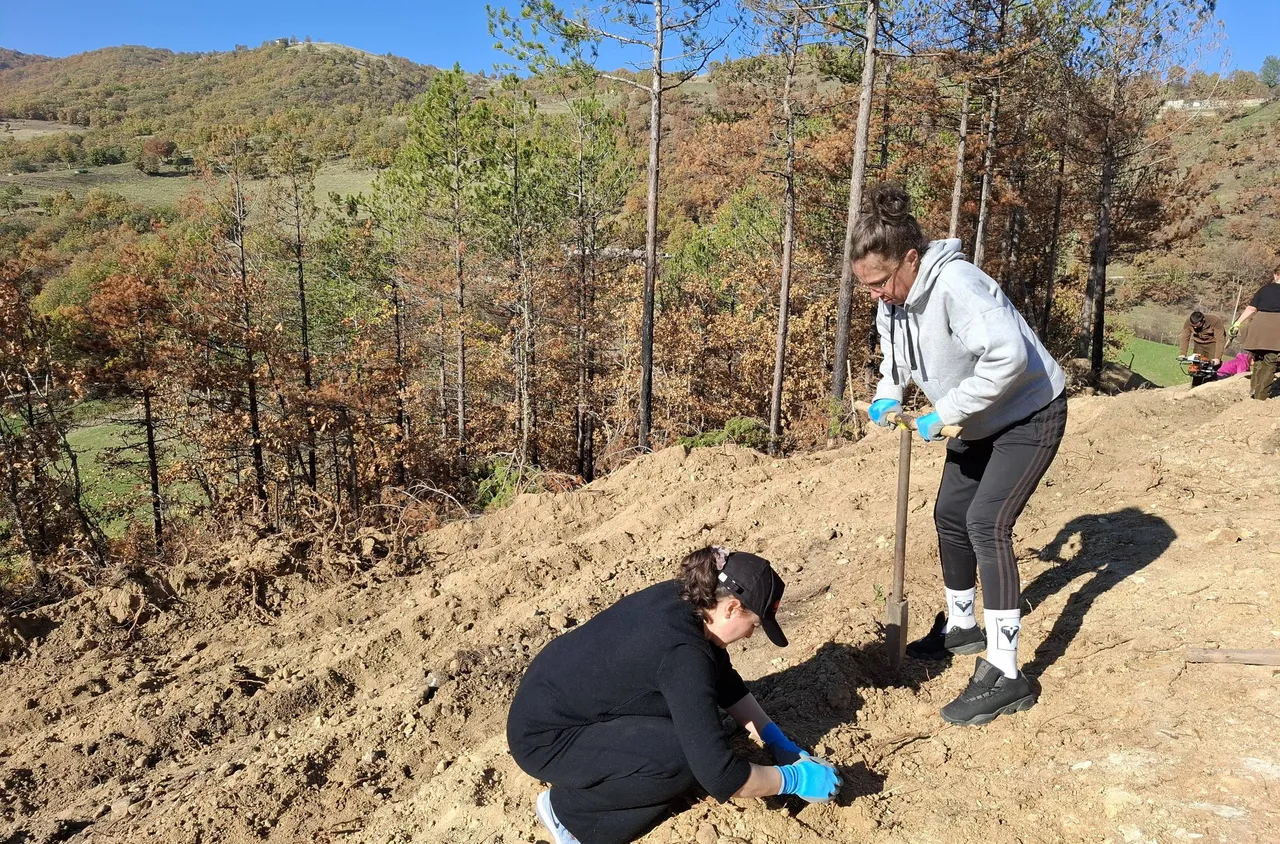 600 фиданки бяха засадени край Симитли