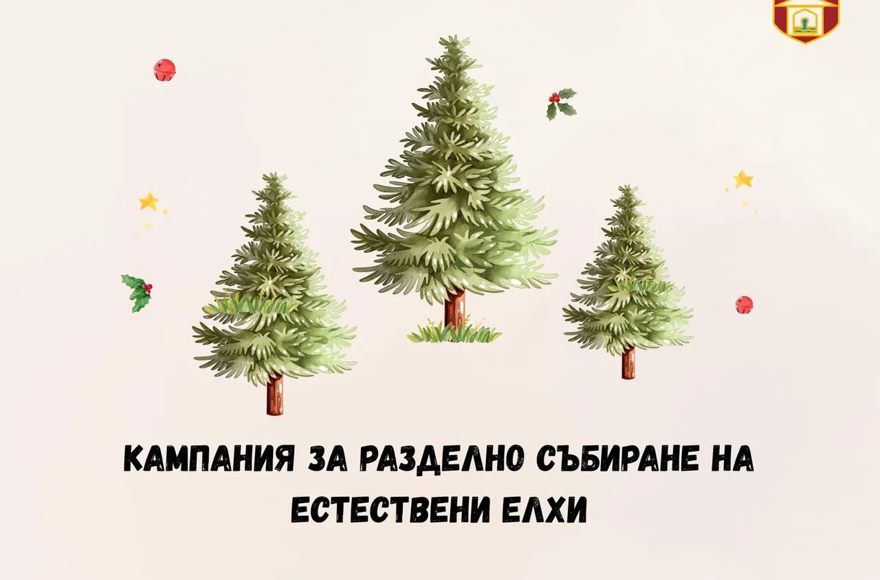 Организират кампания за разделно събиране на естествени коледни елхи в Самоков