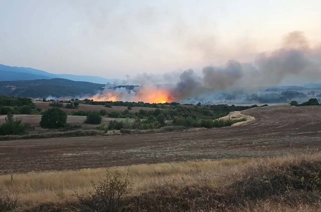 Пожар пламна край Бобов дол