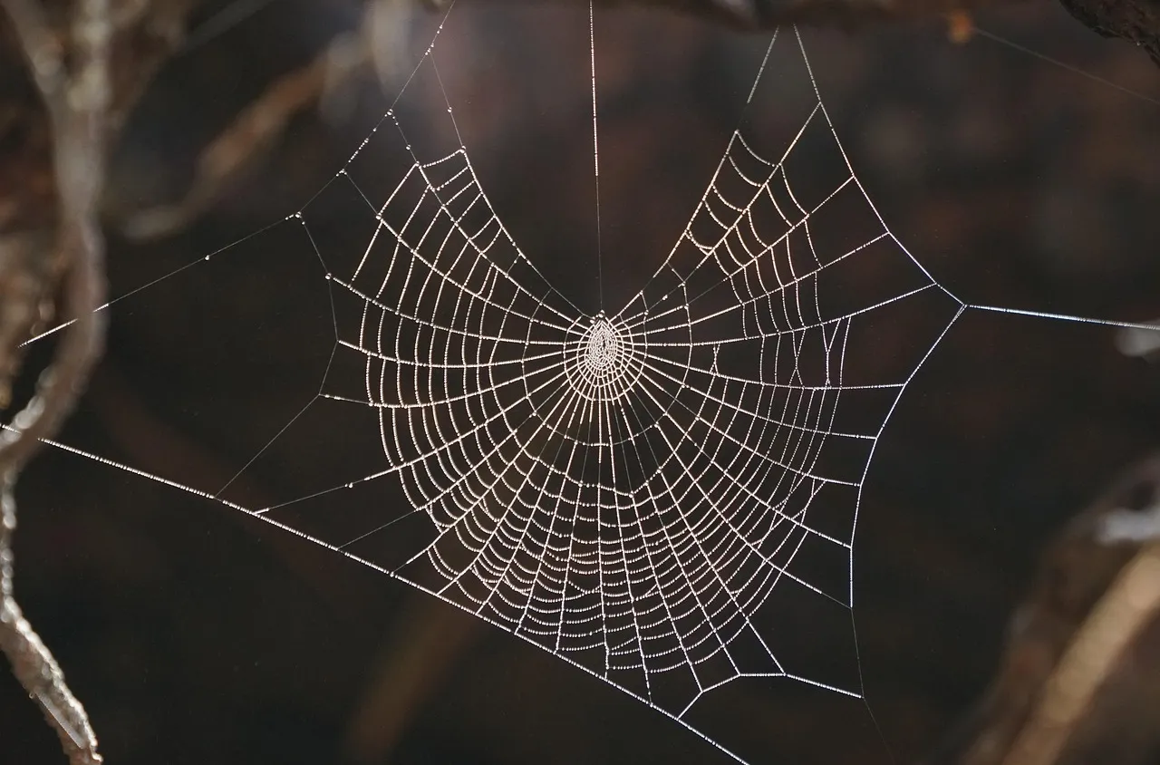 Рекордно откритие в пещера между Албания и Гърция