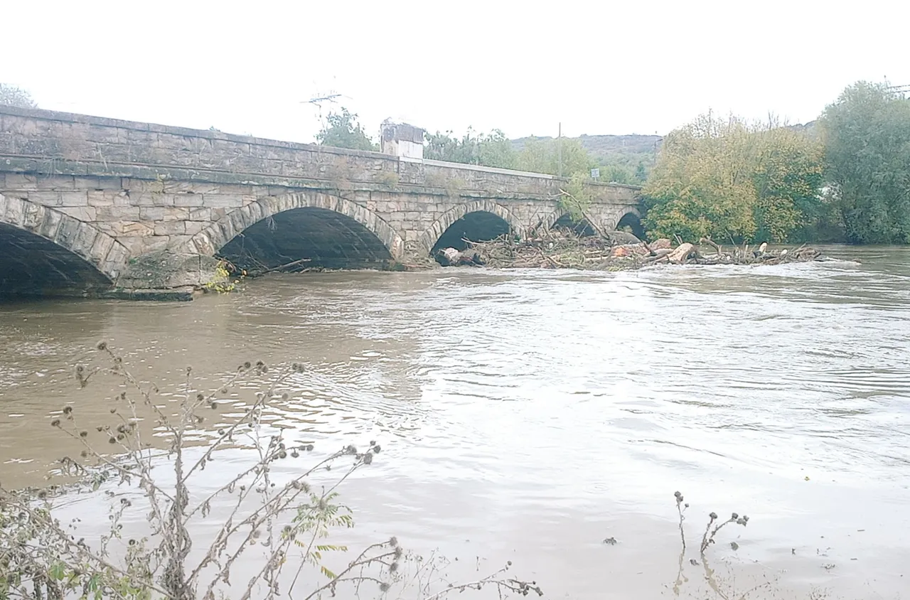 След поройните дъждове - р. Янтра е задръстена от дървета и боклук