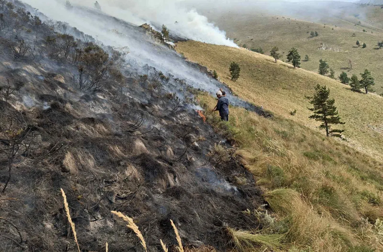 Пожарът в Природен парк "Рилски манастир" се разраства 