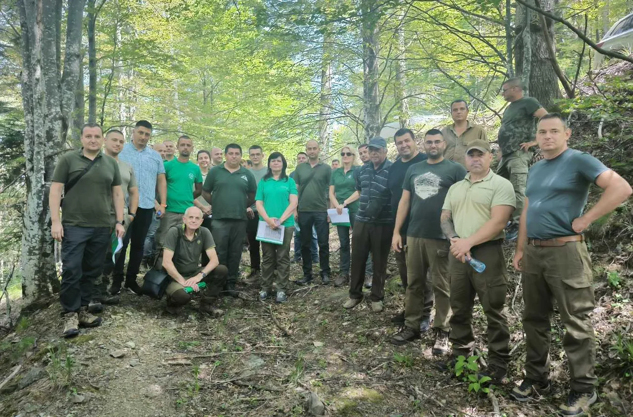 Второ регионално съвещание по стопанисване на горите на СЗДП