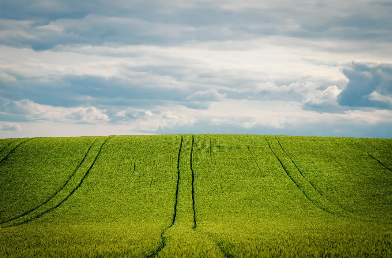 Времето на 15 ноември 2025 г.