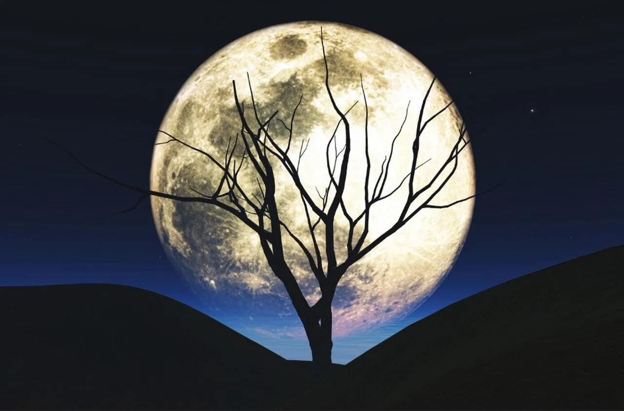 Последно пълнолуние за 2025 г.