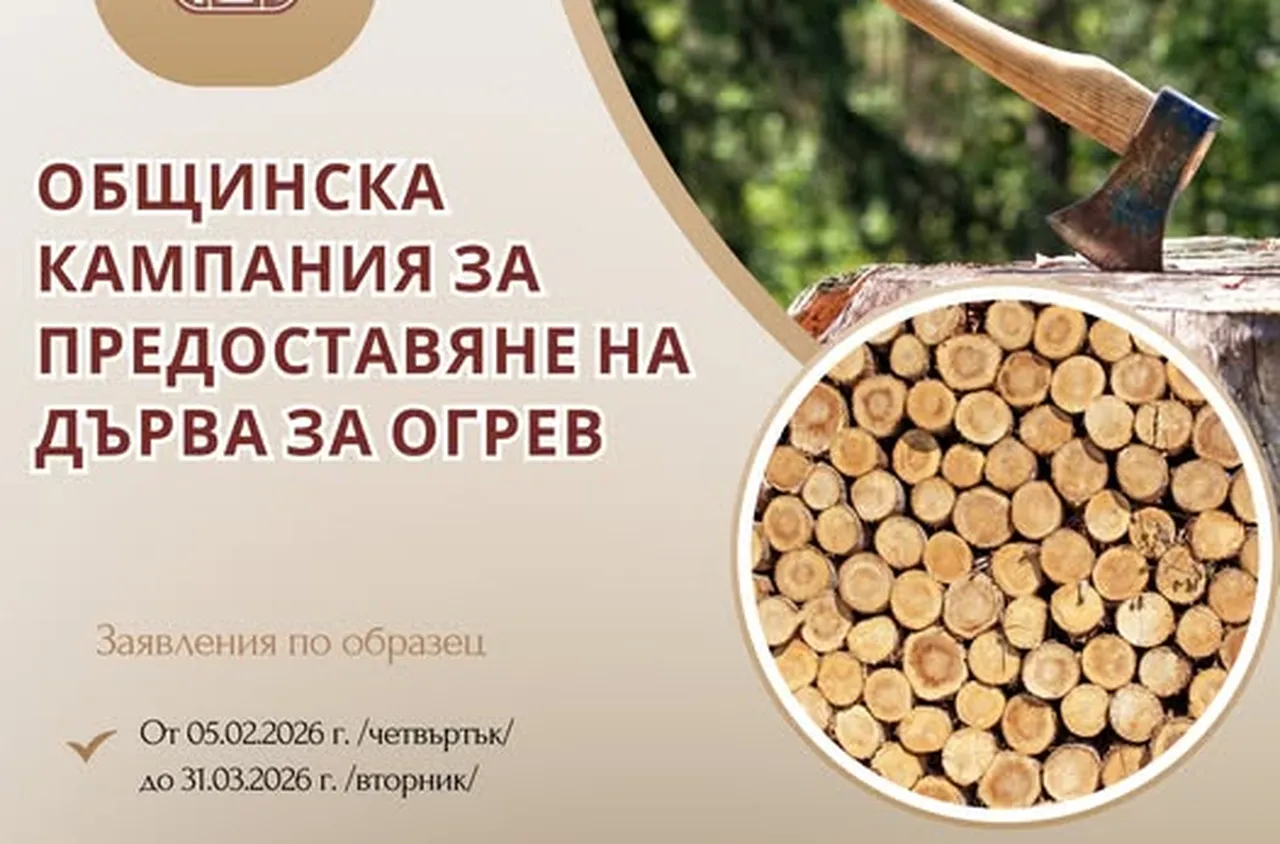 В Банско стартира приема на заявления за дърва за огрев
