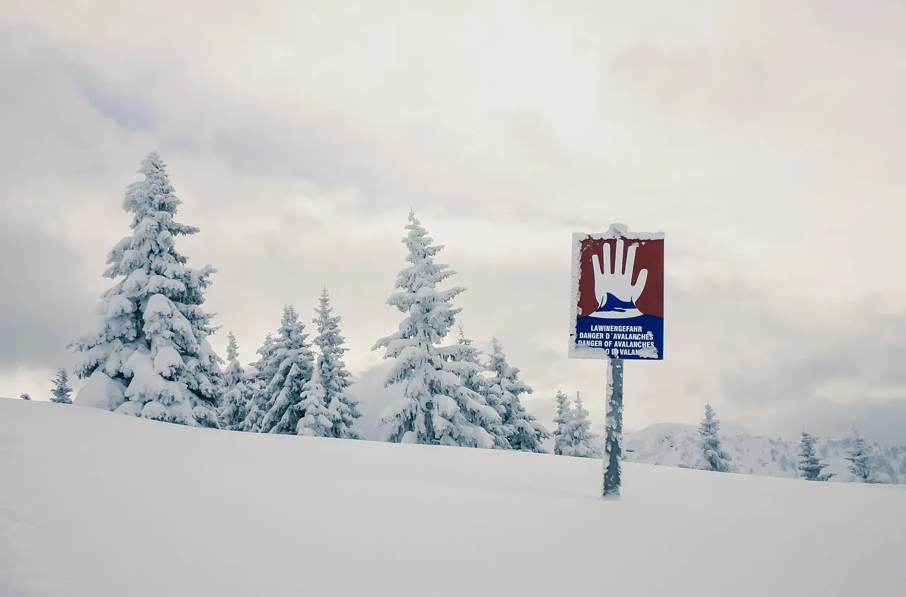 Петима скиори загинаха при лавини във френските Алпи