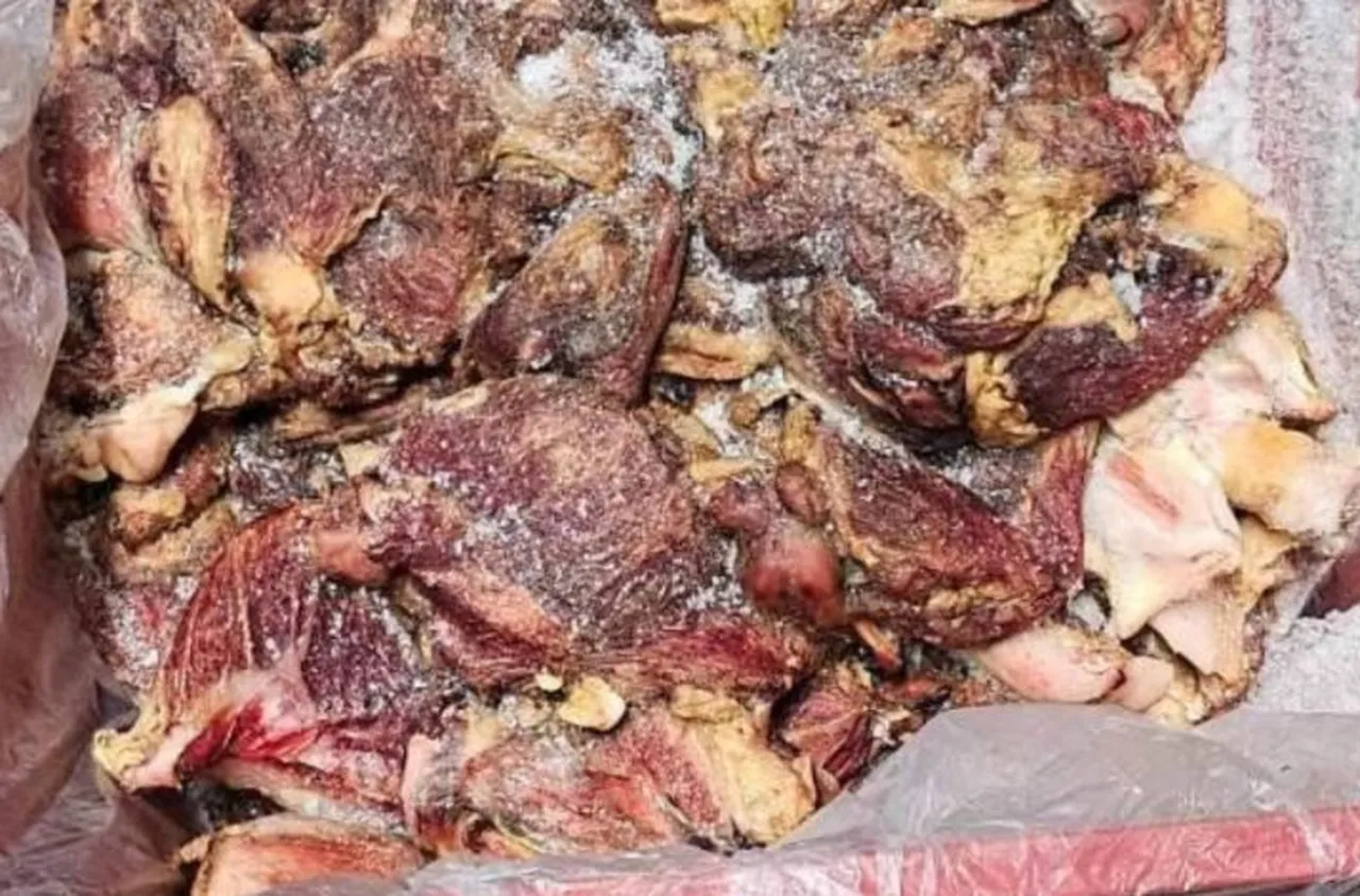 БАБХ затвори кланица край Пловдив с 36 тона негодни храни