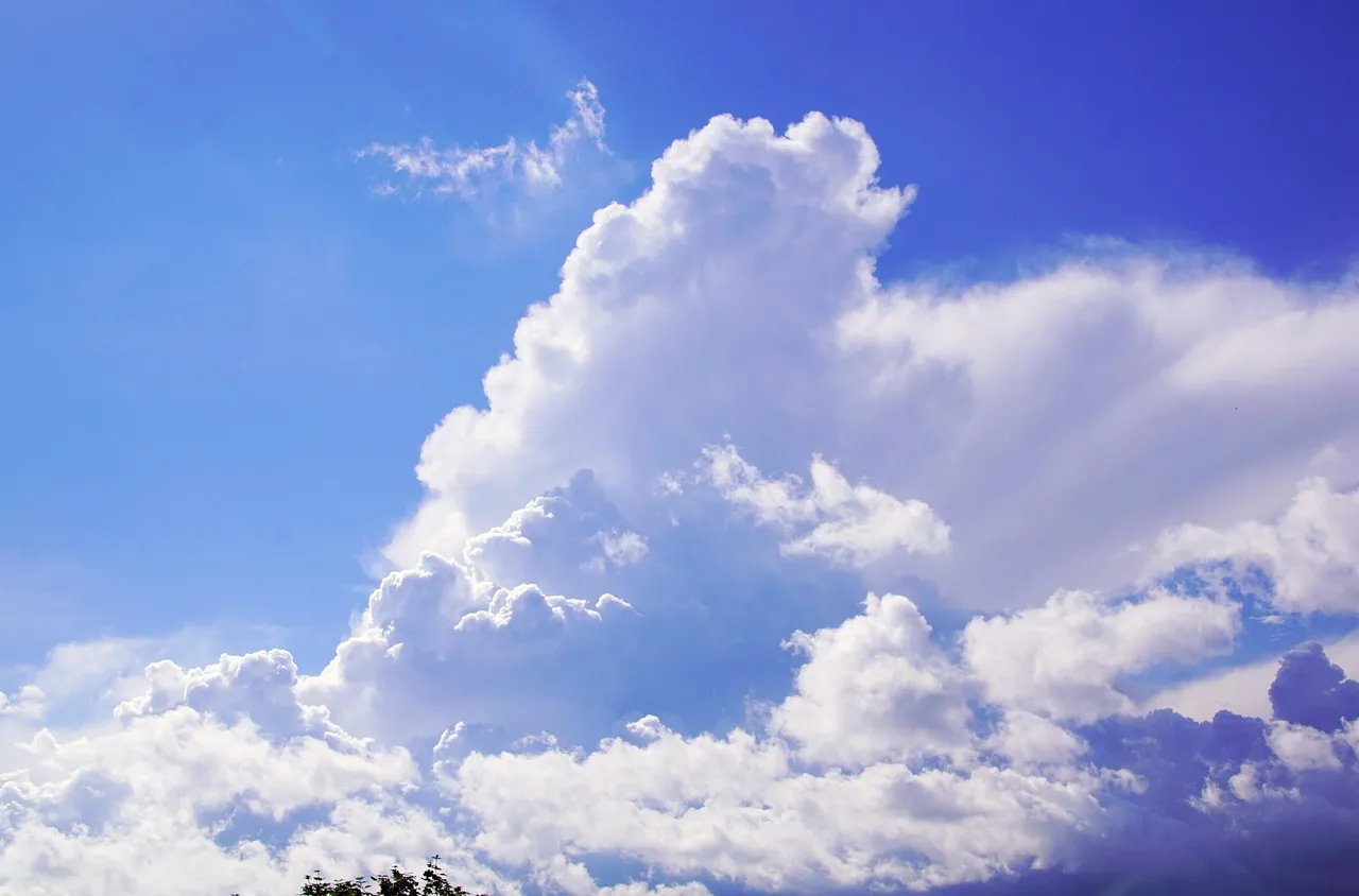 Времето на 19 януари 2026 г.