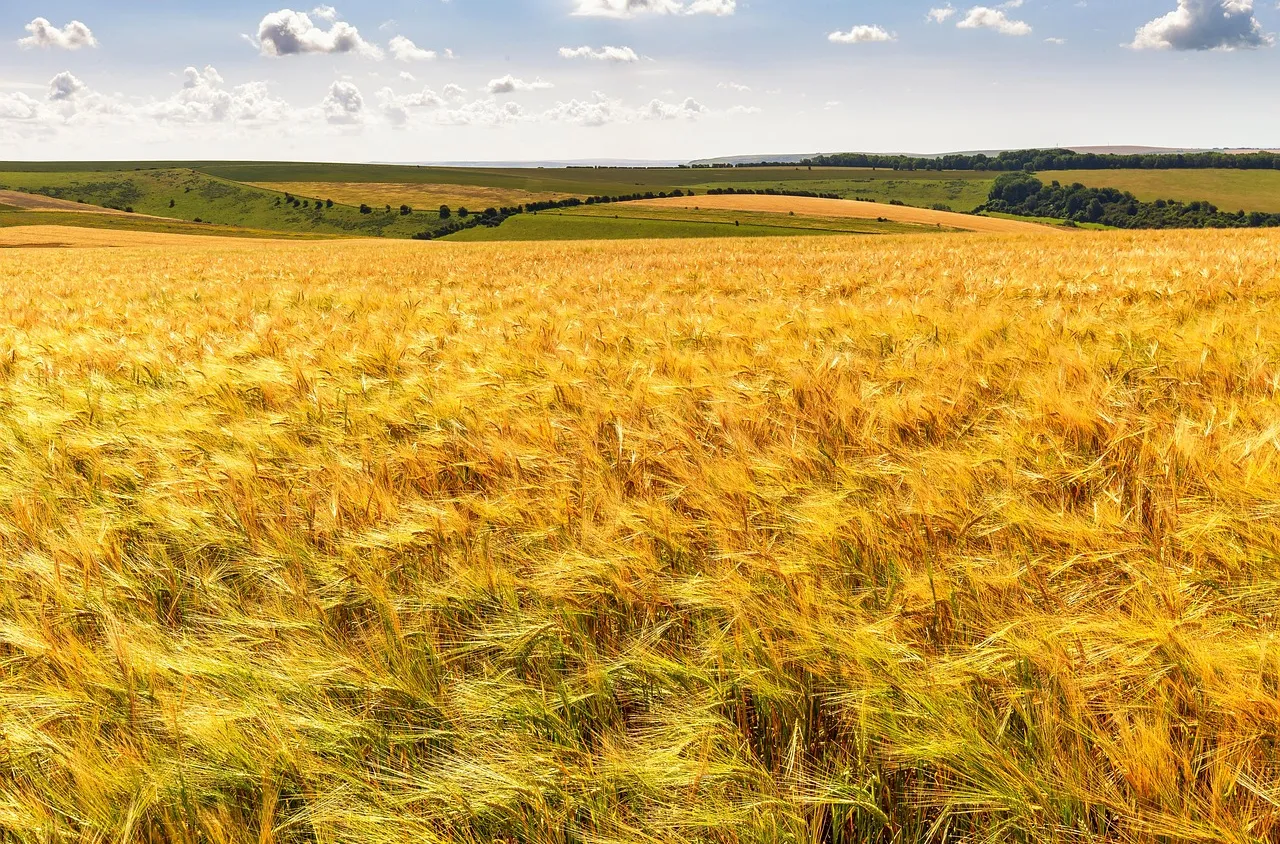 Времето на 6 ноември 2025 г.