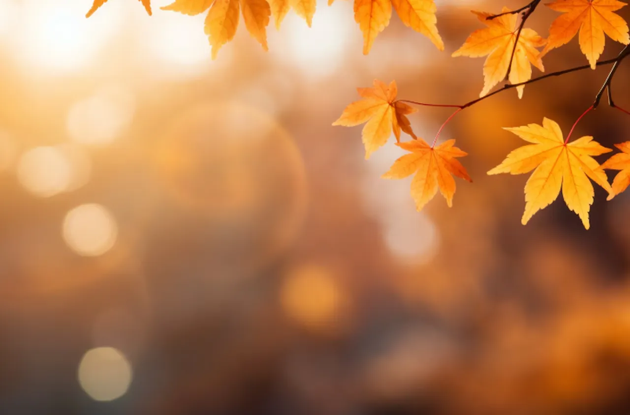 Времето на 02 ноември 2025 г.